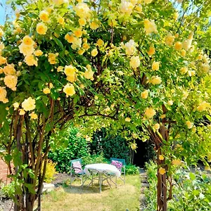Holiday home Garden, Guisborough